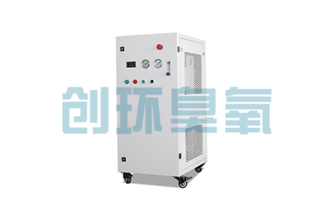 恩施比传统换水更高效？臭氧发生器在石斑鱼养殖中的水质净化原理解析