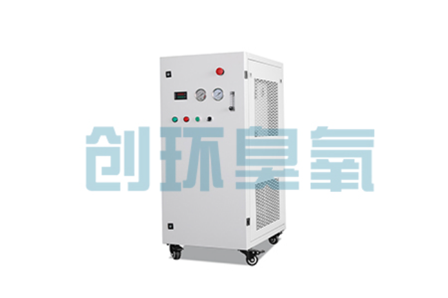 恩施比传统换水更高效？臭氧发生器在石斑鱼养殖中的水质净化原理解析